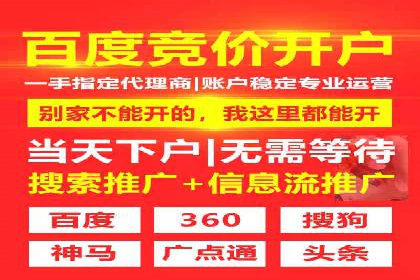 深入了解SEM竞价代运营公司：成功背后的故事